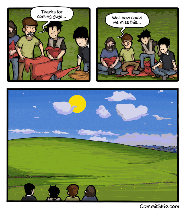 Strips-Windows-xp-fin-sauv-english1