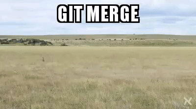 git merge 2