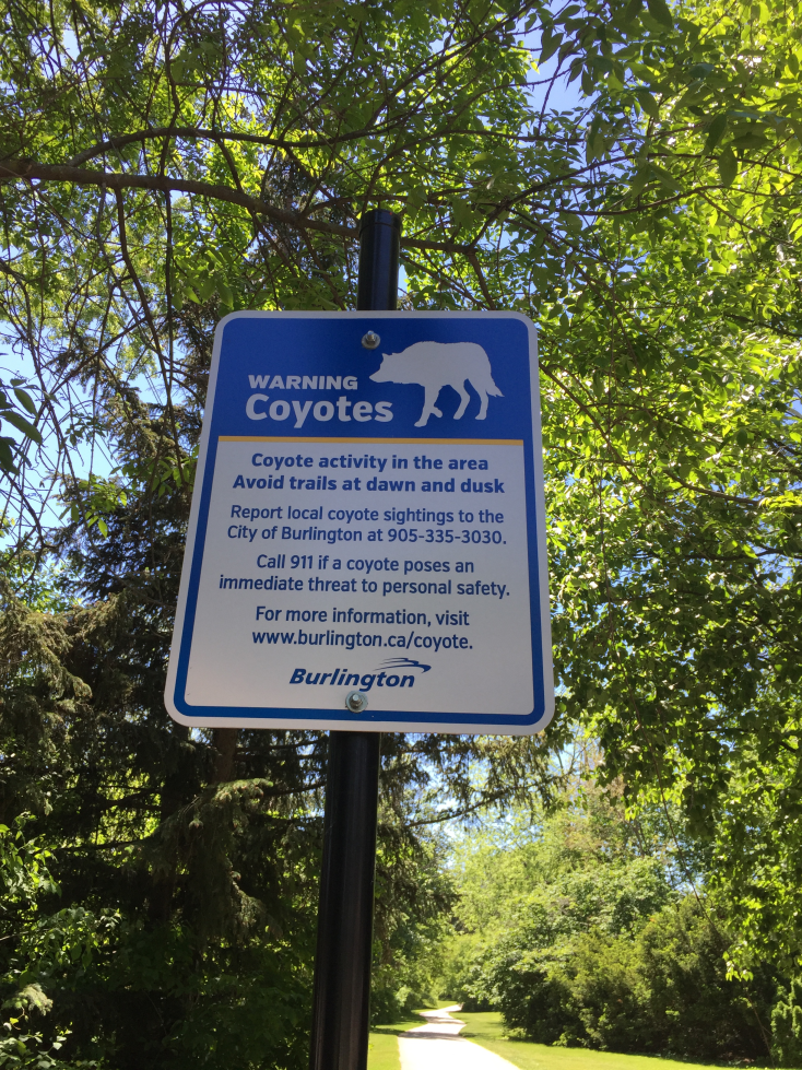 20170603_172800884_iOS