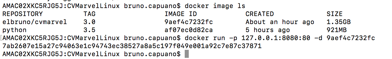 03 docker list images and run image