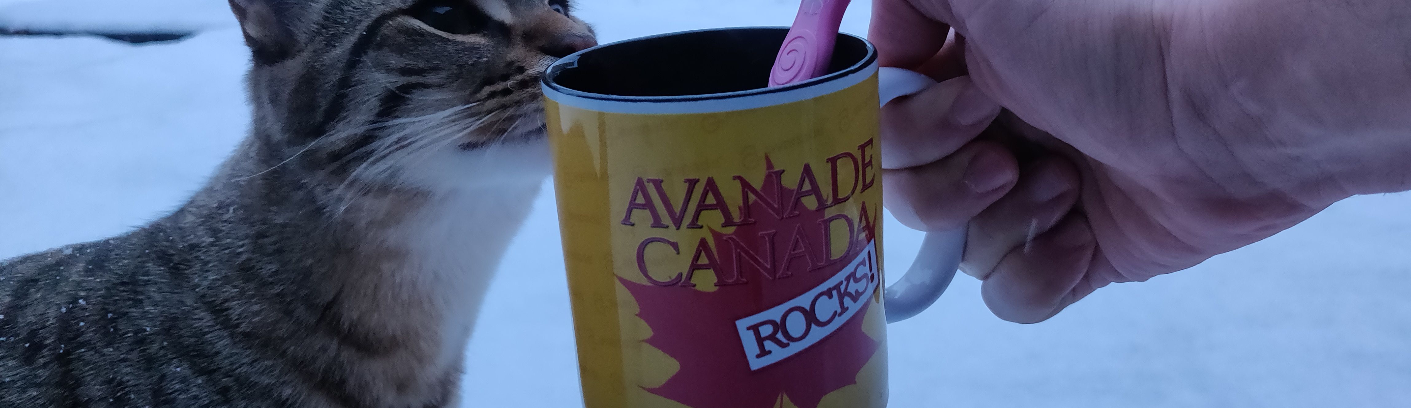 Avanade Canada mug on snow with goku