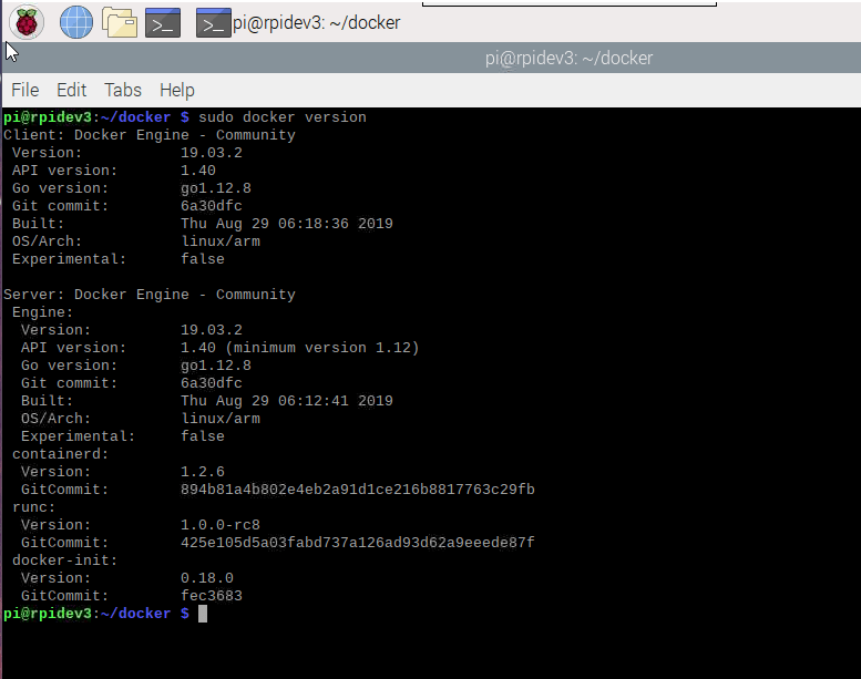 raspberry pi docker version in terminal