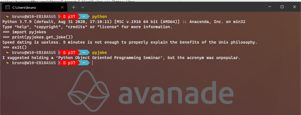 python pyjoke sample