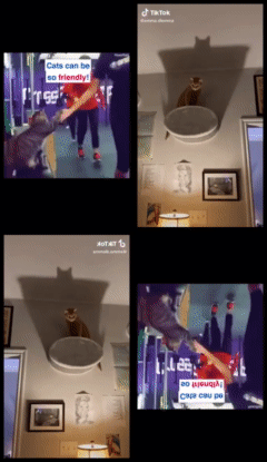 stacked_vid_5sec (2)