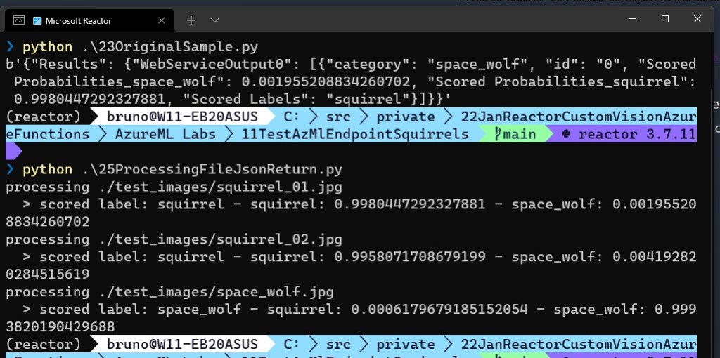 azure ml sample client calling endpoint