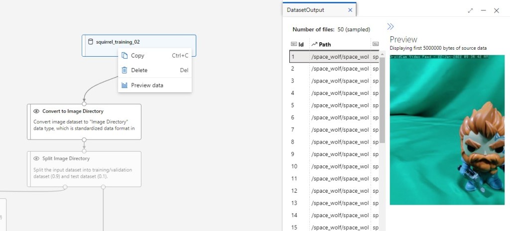 connect the squirrel dataset with the 1st step and preview the dataset