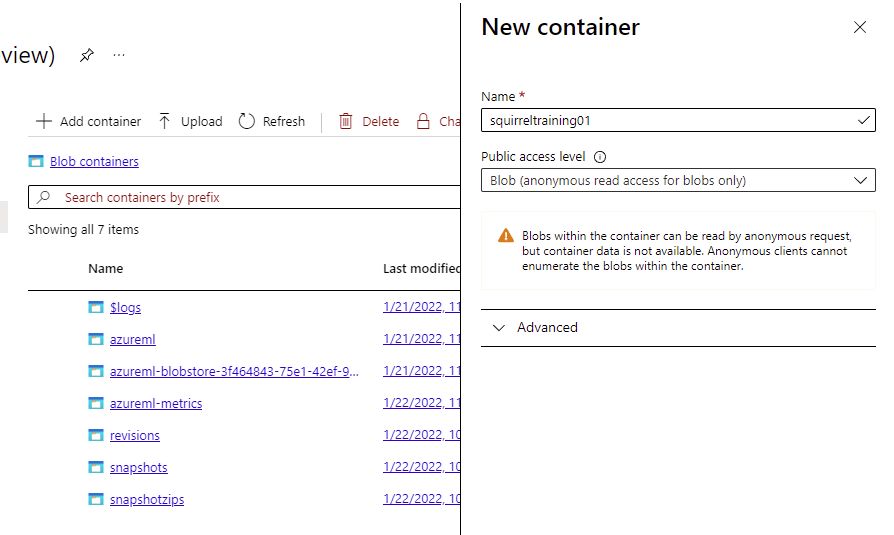create a new container for squirrel training