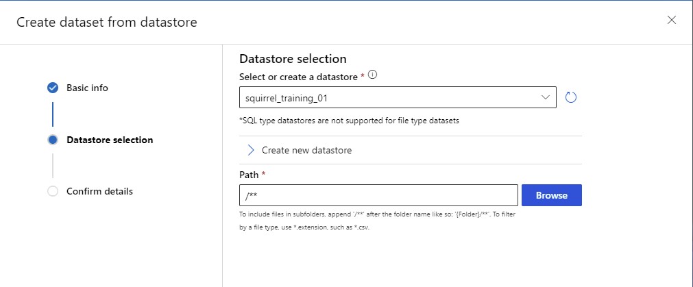 new dataset datastore selection