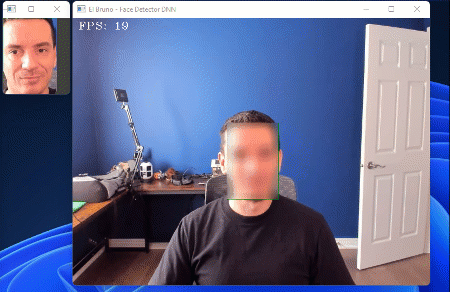face blur demo in csharp using dnn