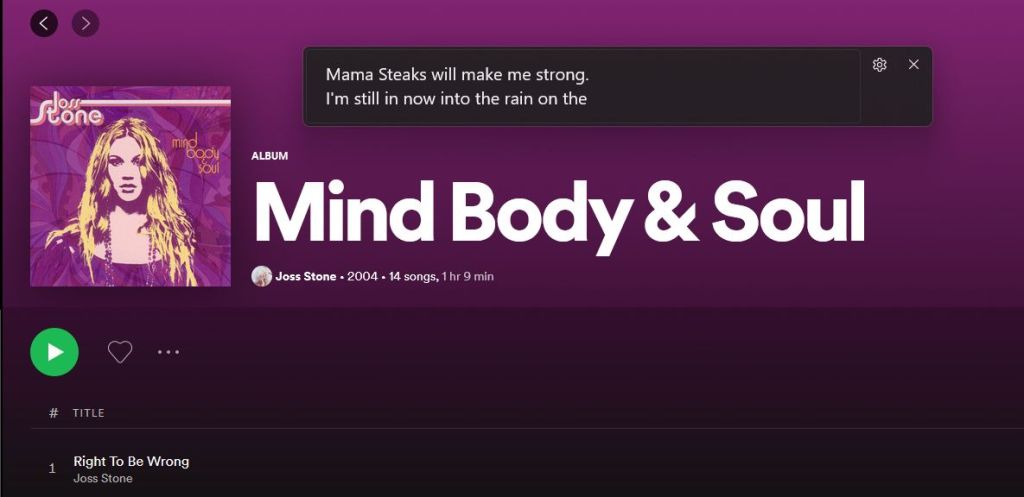 Live Captions on a Joss Stone song in Spotify