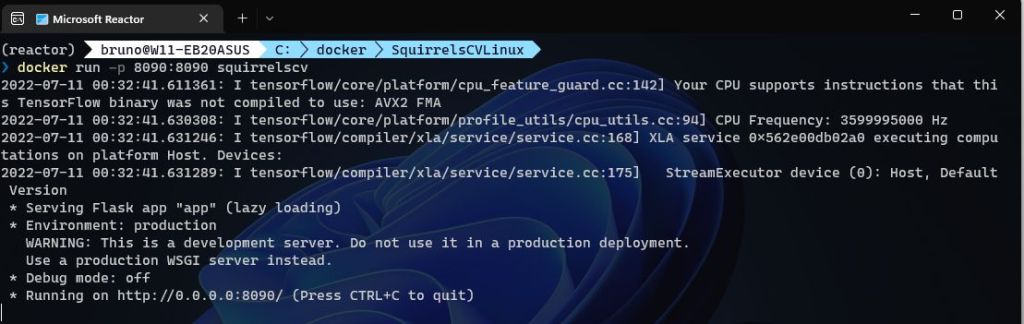 docker image running