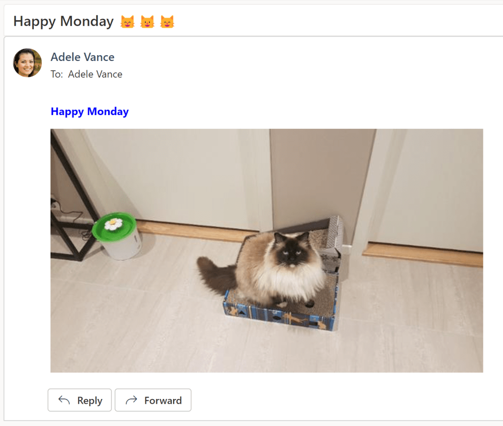 Inbox screenshot with the new email with a cat photo