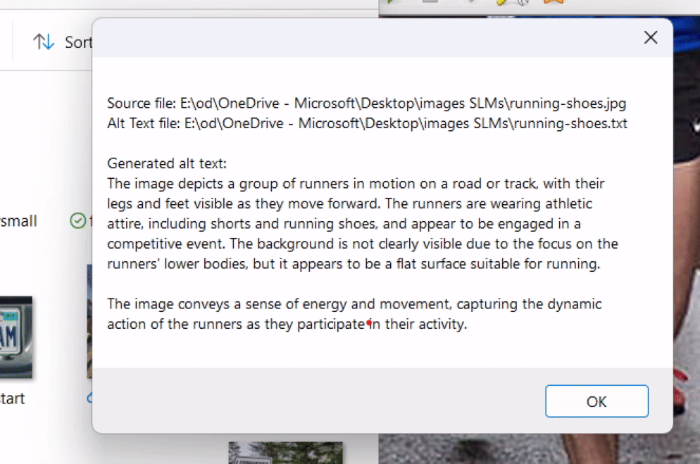 the image shows the output of the application when running and analyzing an image. the output is a message with the alt-text of the image and the locations of the files processed